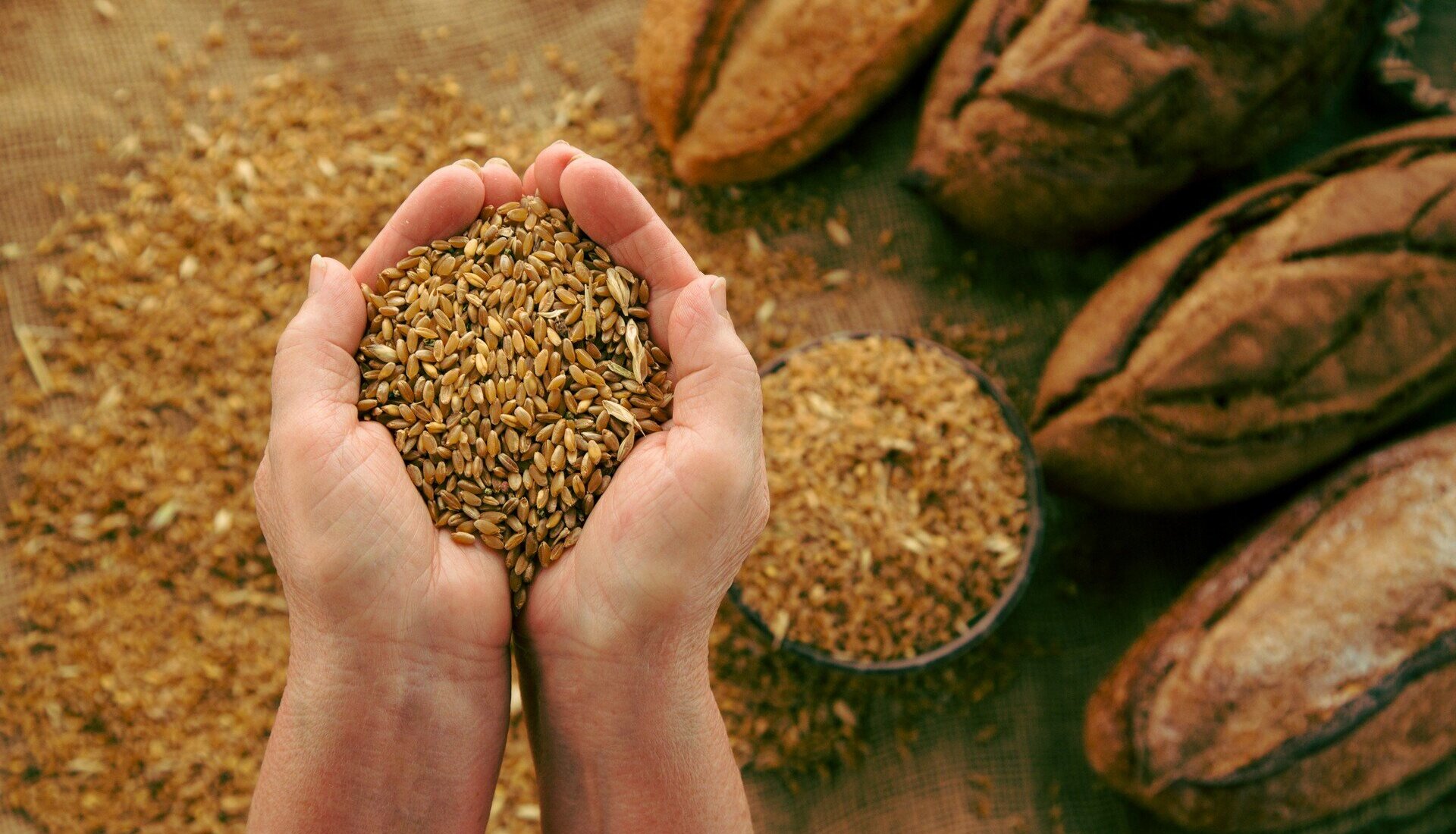 Les solutions les plus naturelles du grain de blé aux tables