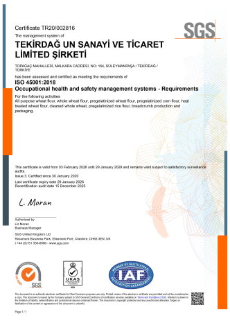 Iso 45001:2018